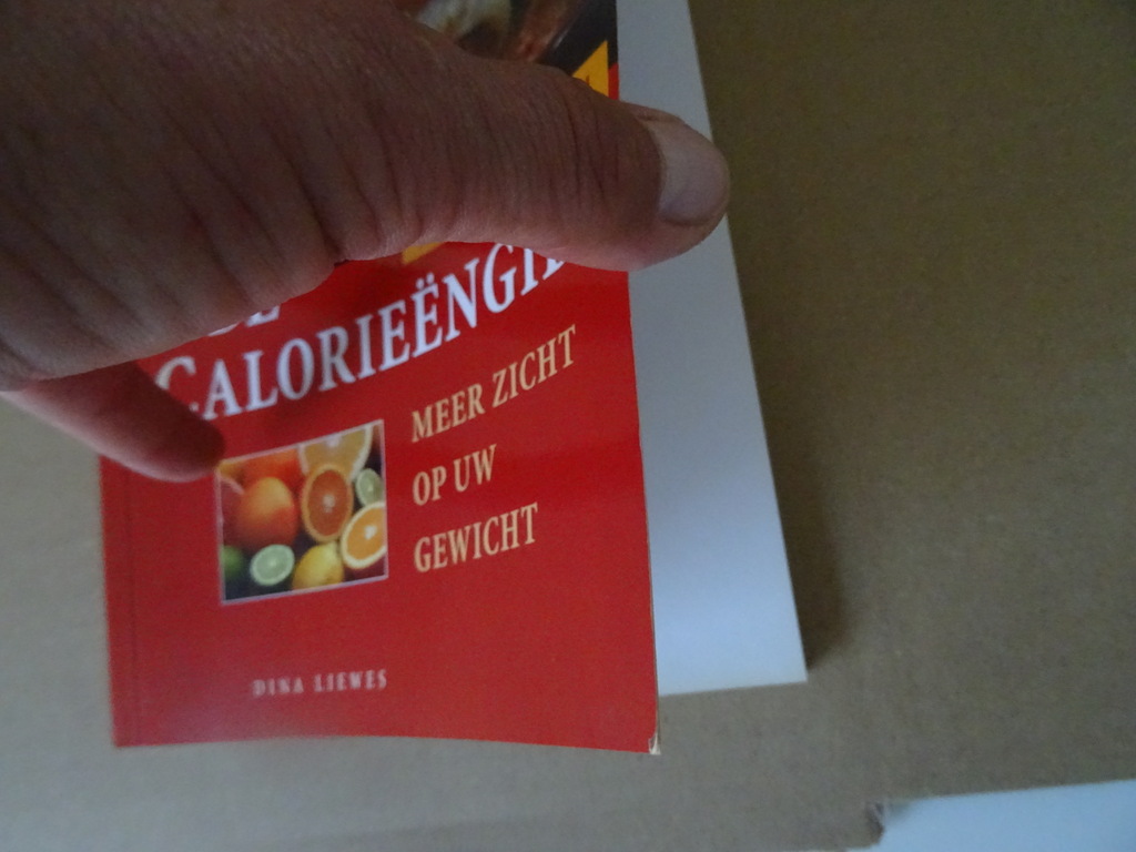 Dina Liewes De calorieëngids - Afbeelding 2