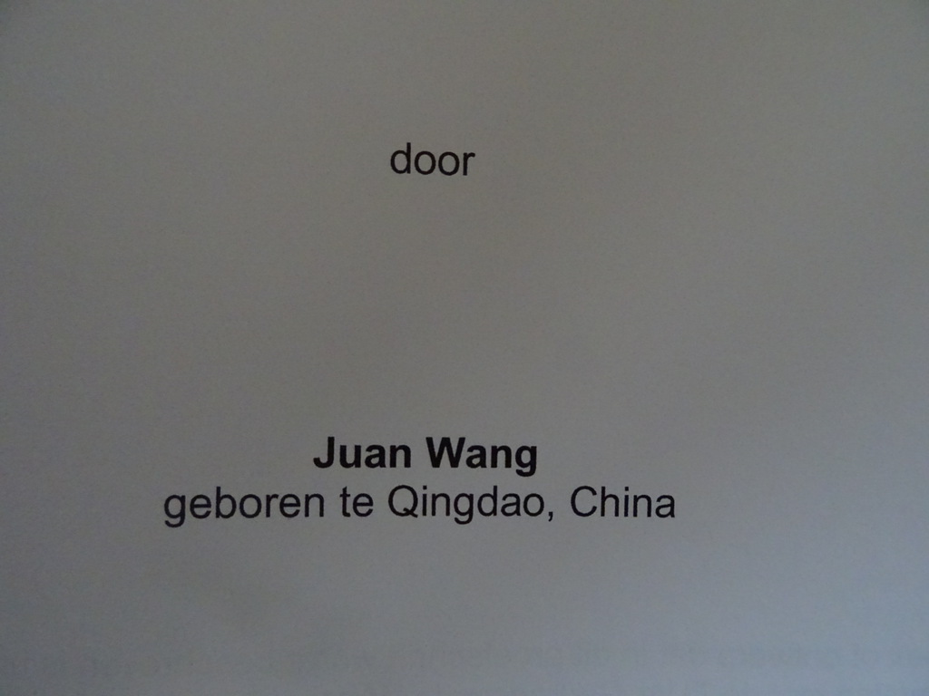 Juan Wang Understanding Carsharing-Facilitating - Afbeelding 5