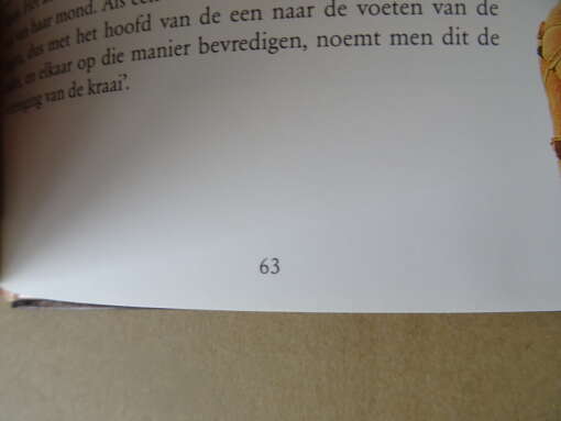 Kama Soetra De verliefde man en De sensuele vrouw