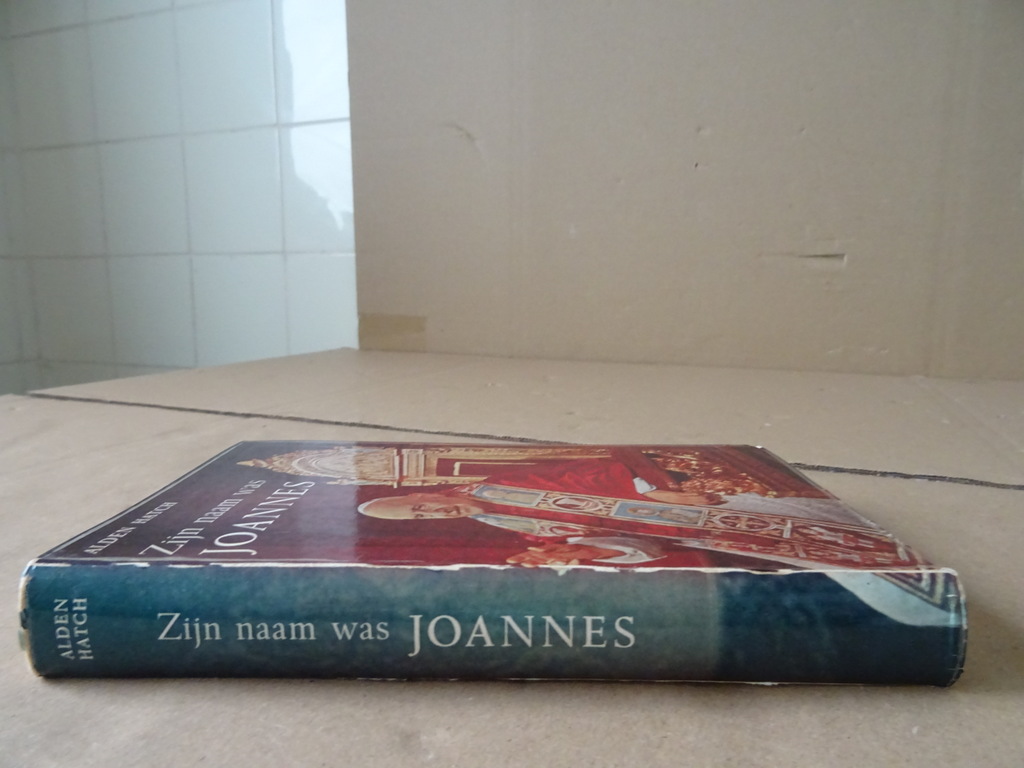 Alden Hatch Zijn naam was Joannes - Afbeelding 24