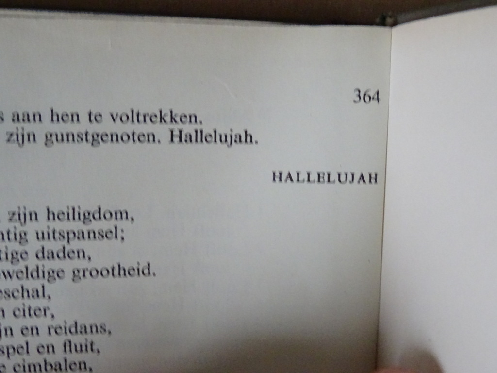 Het Nieuwe Testament en de psalmen - Afbeelding 12