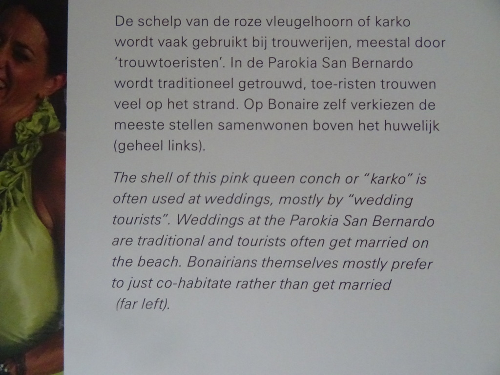 Wilna Groenenboom Document Bonaire - Afbeelding 15