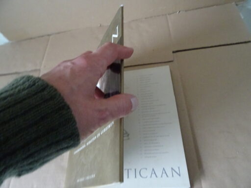 Alternative view of Michael Collins Het Vaticaan