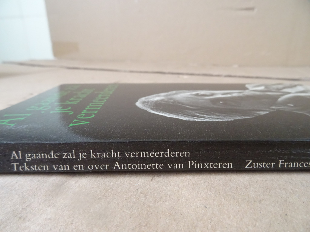 Zuster Francesco Al gaande zal je kracht vermeerderen - Afbeelding 14