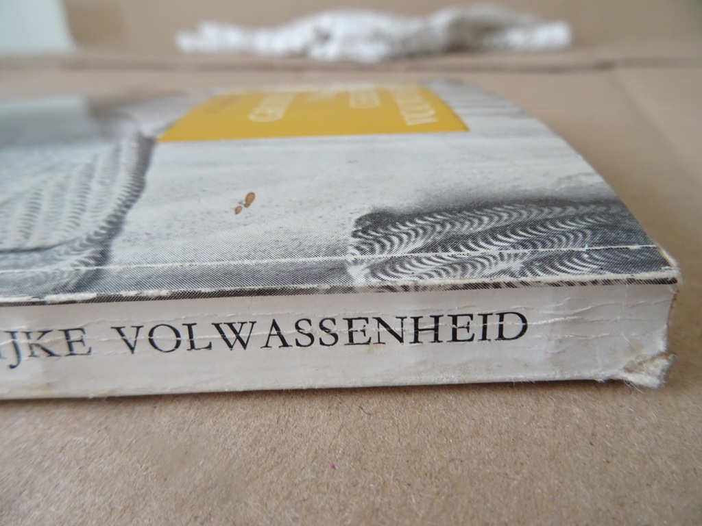 P. Schruers Groeiend naar een christelijke volwassenheid - Afbeelding 17