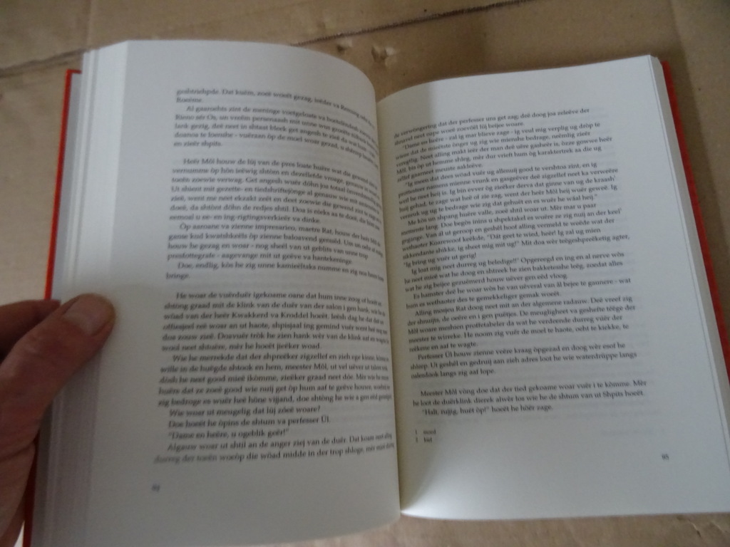 Cor Driessen Kiezzel shting en brikke - Afbeelding 10