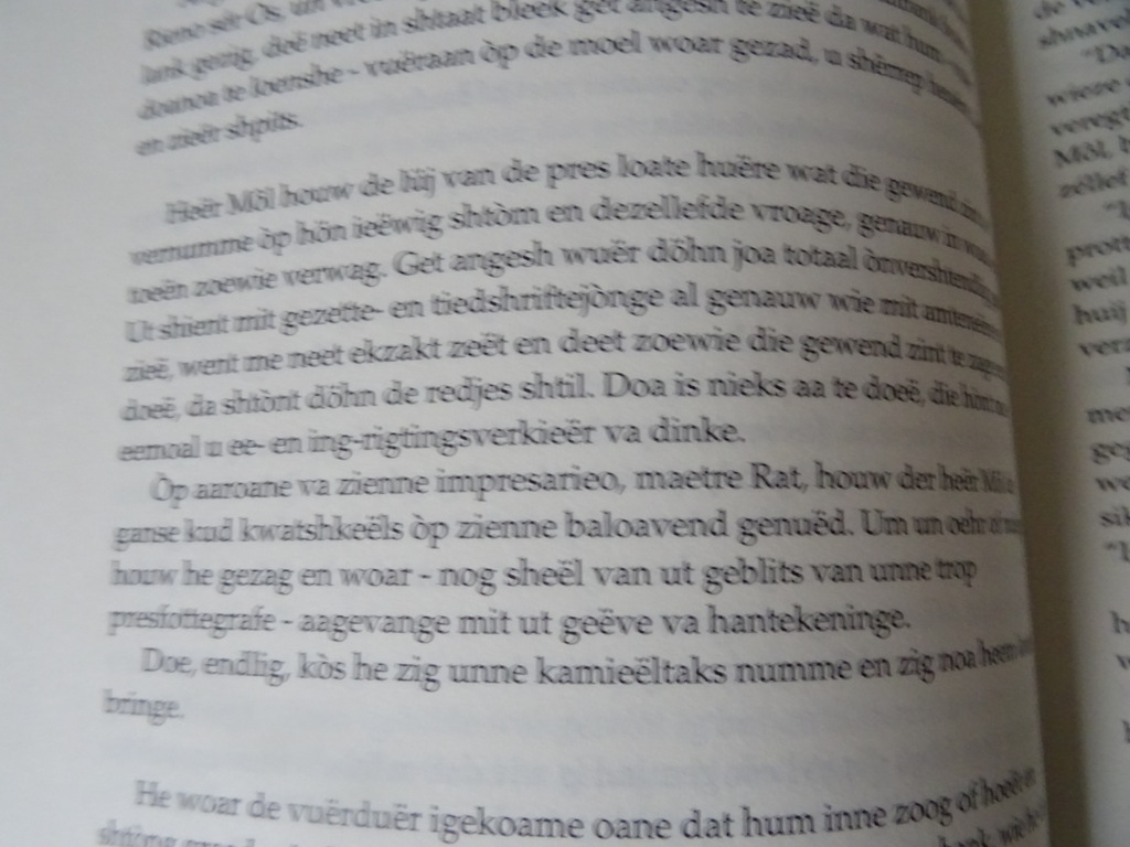 Cor Driessen Kiezzel shting en brikke - Afbeelding 11