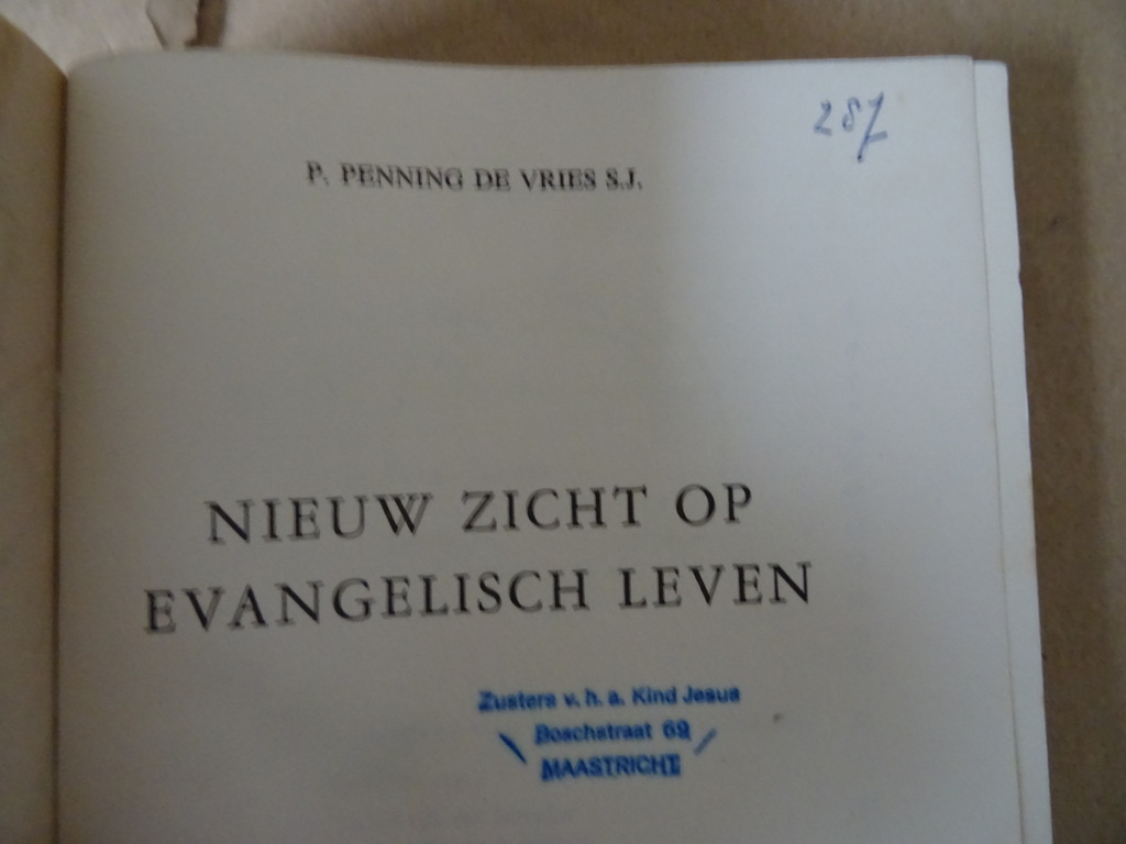 P. Penning de Vries Nieuw zicht op evangelisch leven - Afbeelding 4