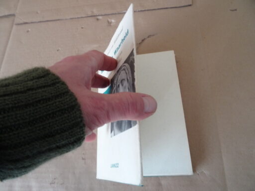 Alternative view of Dietrich von Hildebrand Schijn en Waarheid