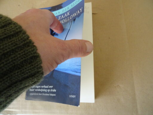 Alternative view of Zvezdana Vukojevic Joran van der Sloot