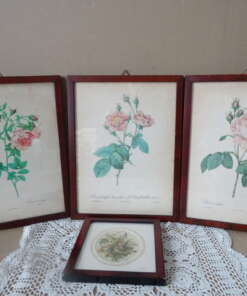 Vintage ingelijste prenten met rozen Vintage ingelijste prenten met rozen