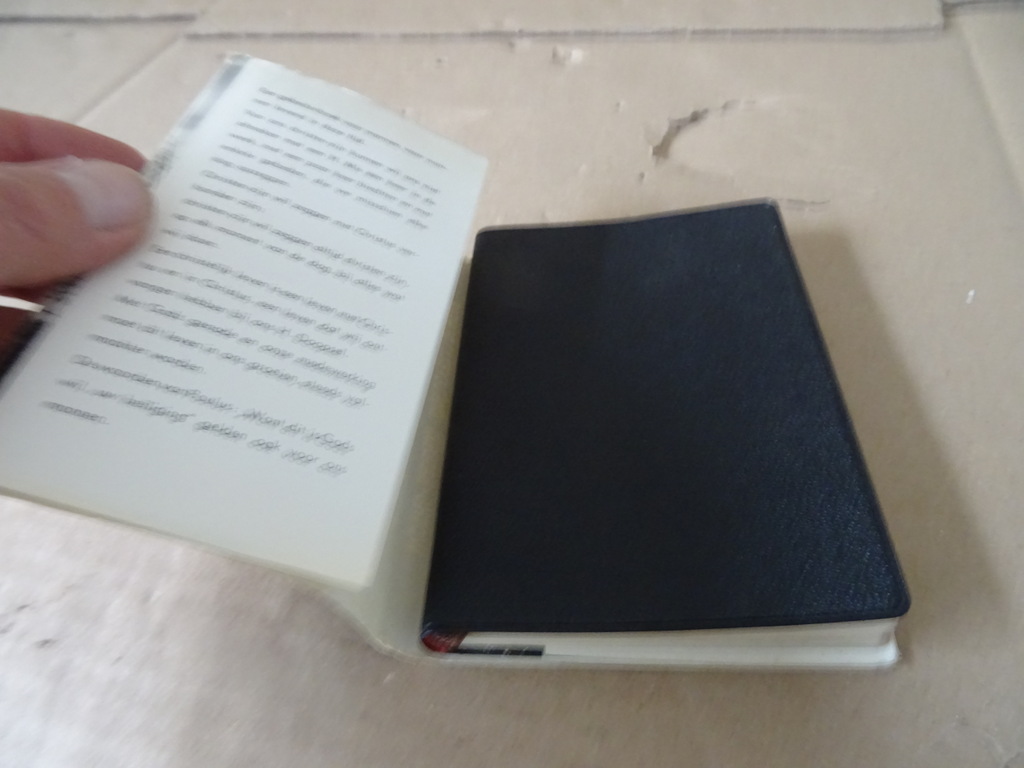 F. J. Wothe Ons leven in de Heer - Afbeelding 16