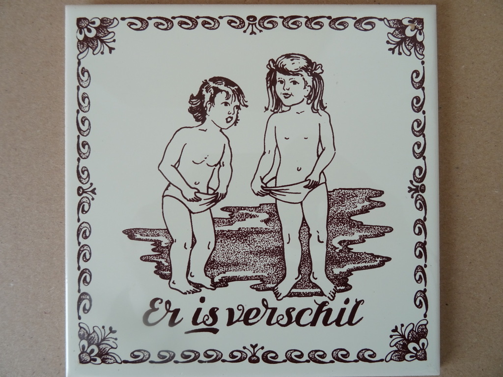 Collectie 14 vintage tegels met spreuk Mosa en Sphinx 19 euro per stuk - Afbeelding 24