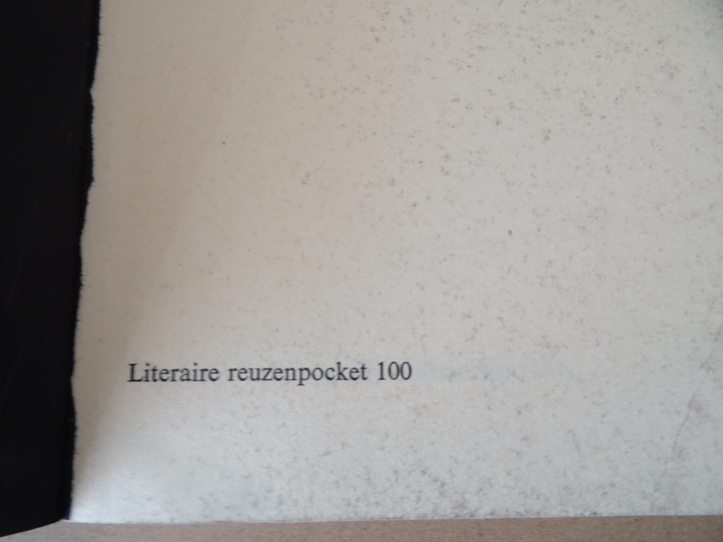 Harry Mulisch Het zwarte licht - Afbeelding 5