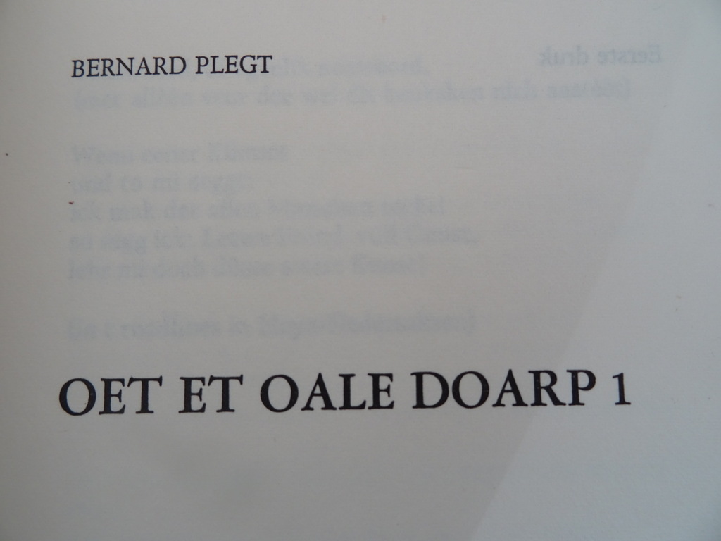 Bernard Plegt Oet et oale doarp 1 - Afbeelding 5
