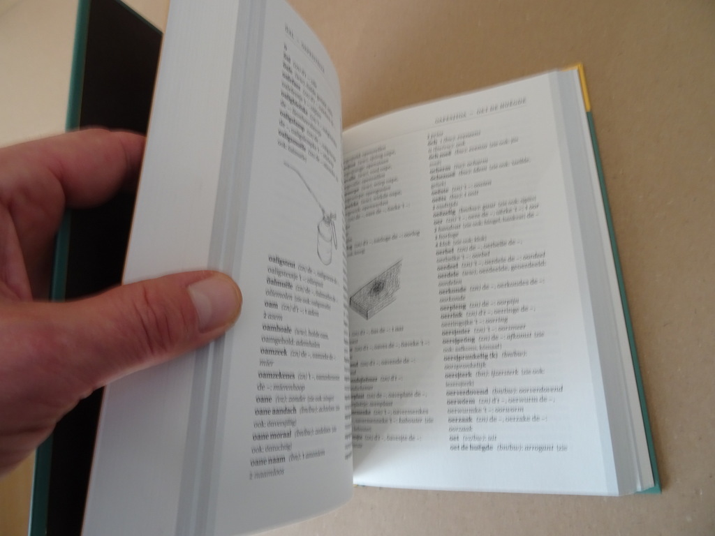 Woadbook Heëlesj Hollendsj Woordenboek Heerlens Nederlands - Afbeelding 8