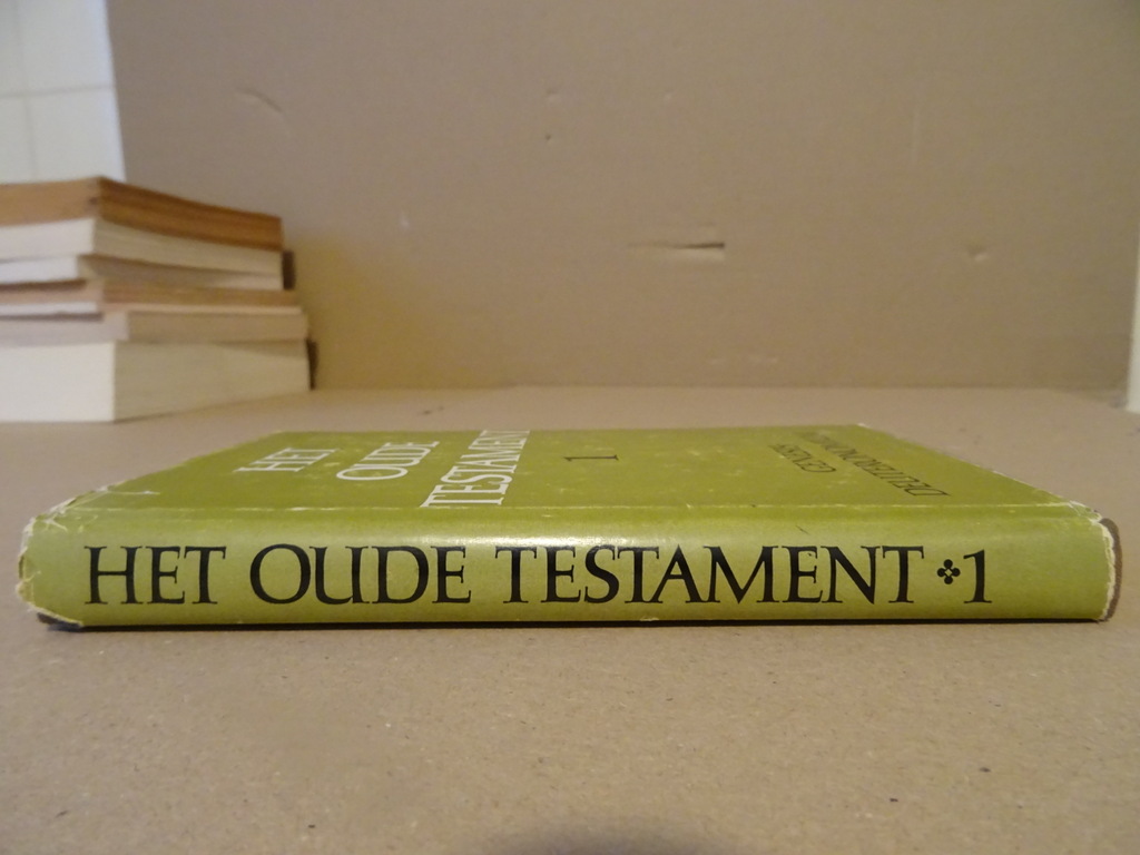 Het Oude Testament 1 Genesis-Deuteronomium - Afbeelding 11