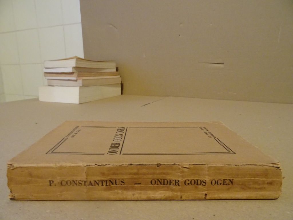 P. Constantinus O.F.M. Cap. Onder Gods ogen - Afbeelding 13
