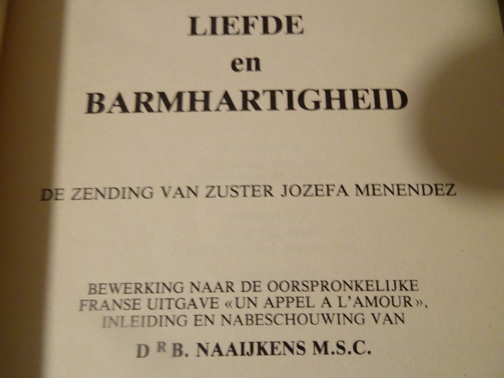 Dr. B. Naaijkens M. S. C. Liefde en barmhartigheid - Afbeelding 4