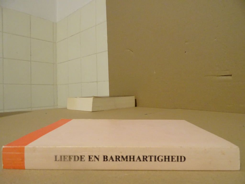 Dr. B. Naaijkens M. S. C. Liefde en barmhartigheid - Afbeelding 11