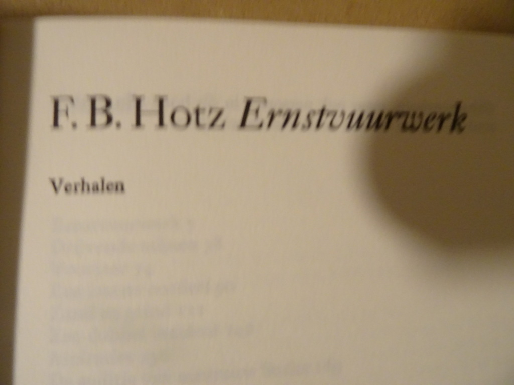 F. B. Hotz Ernstvuurwerk - Afbeelding 3