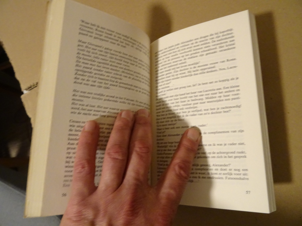 Françoise Sagan Het gouden bloed van de Borgia's - Afbeelding 6