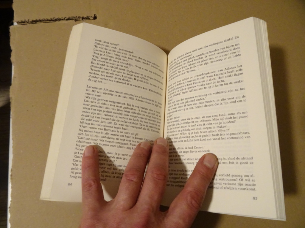 Françoise Sagan Het gouden bloed van de Borgia's - Afbeelding 7