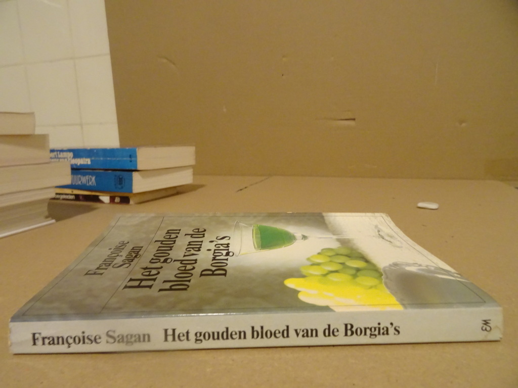 Françoise Sagan Het gouden bloed van de Borgia's - Afbeelding 11