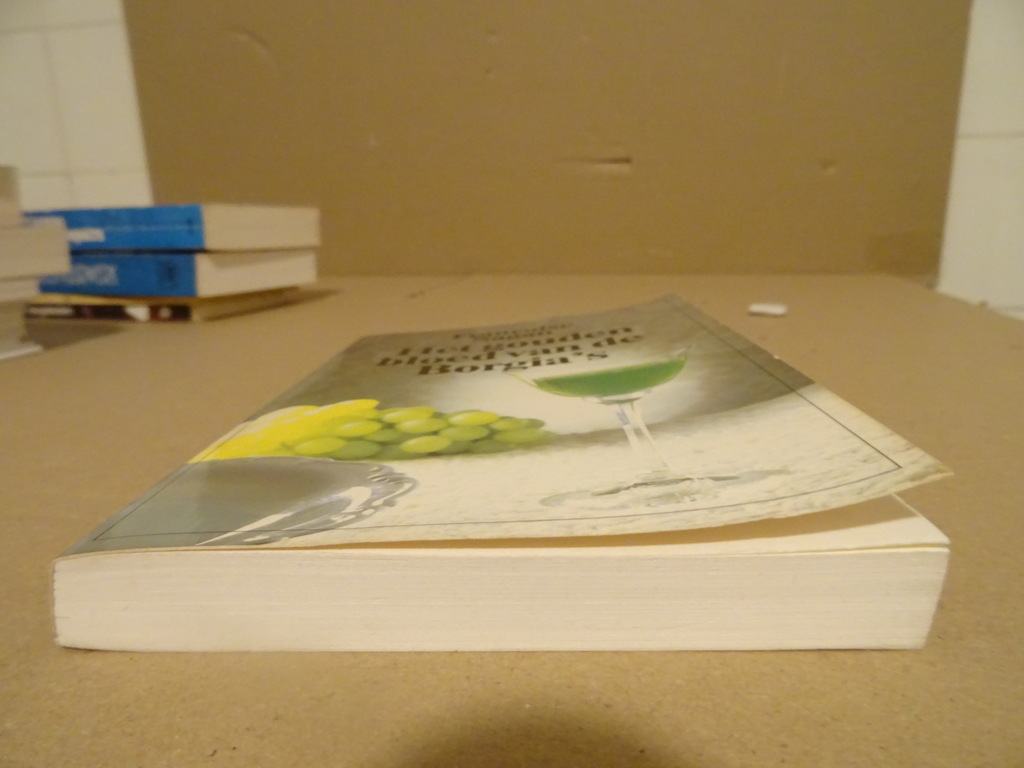 Françoise Sagan Het gouden bloed van de Borgia's - Afbeelding 12