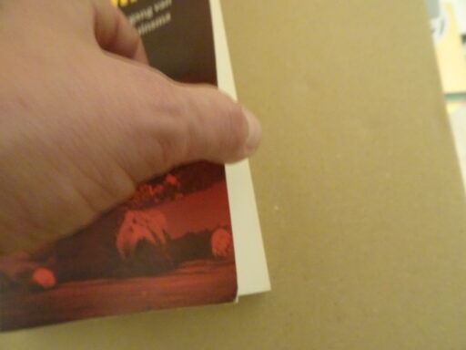 Alternative view of Bart Middelburg De dominee