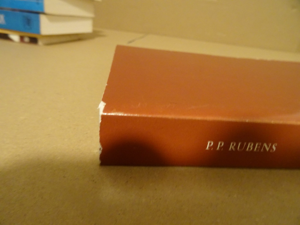 P. P. Rubens Schilderijen Schetsen Tekeningen - Afbeelding 13