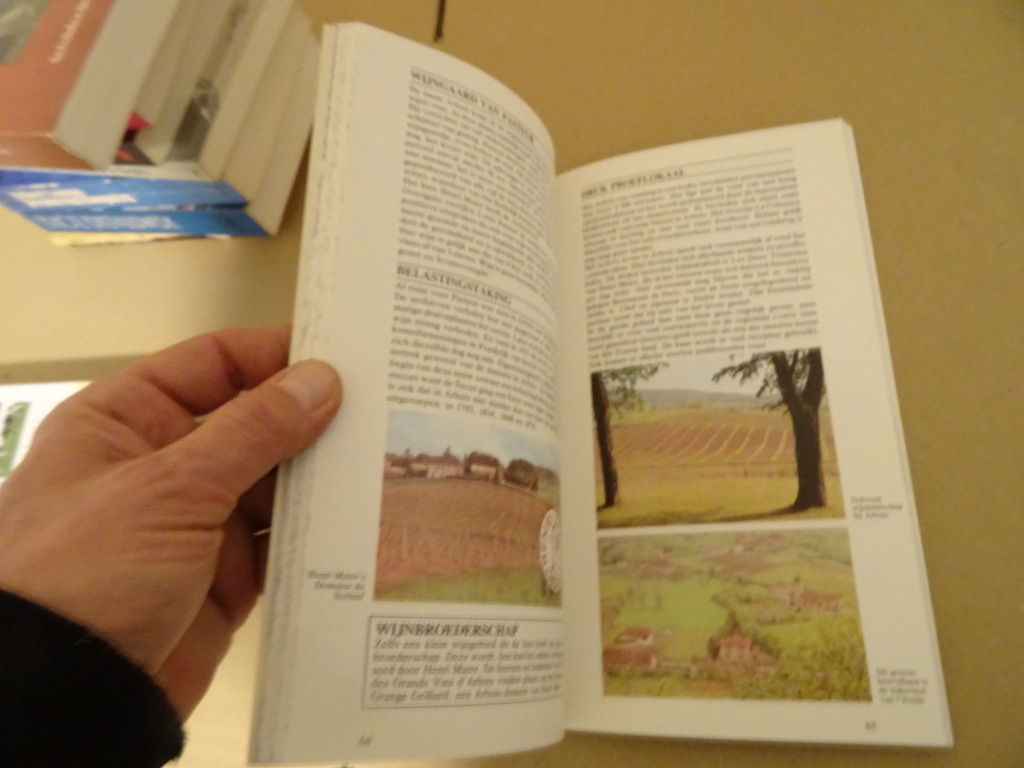 Hubrecht Duijker Wijn & reisboek Frankrijk - Afbeelding 5