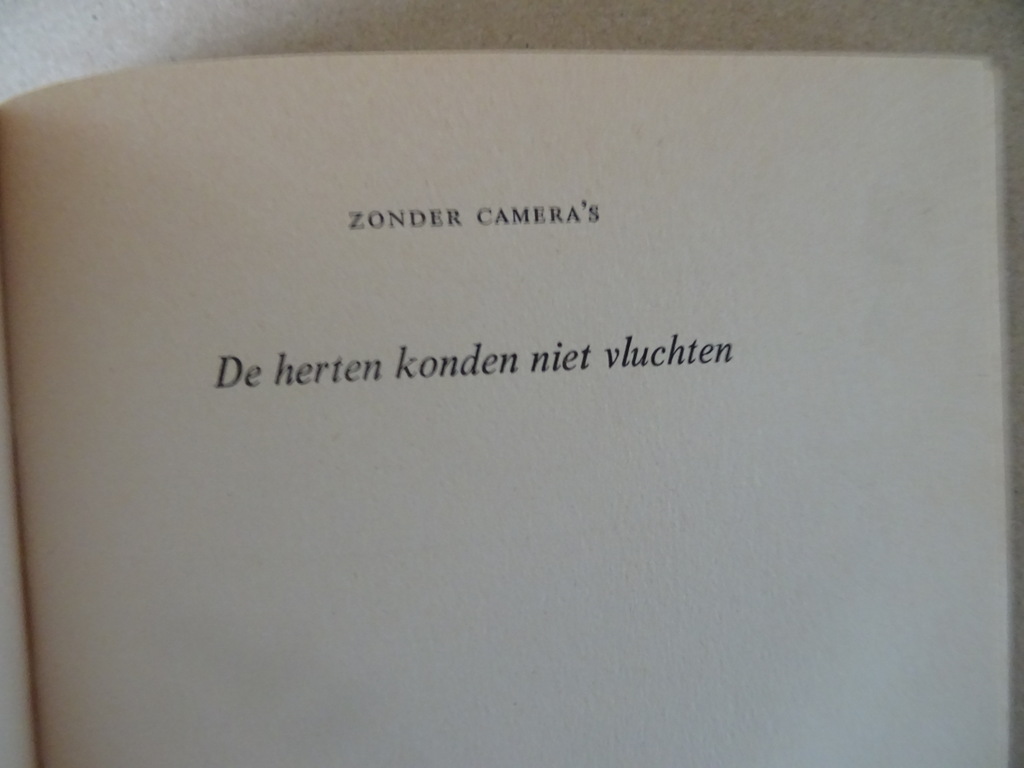 Pierre Janssen Kunstgrepen met krantenknipsel - Afbeelding 11