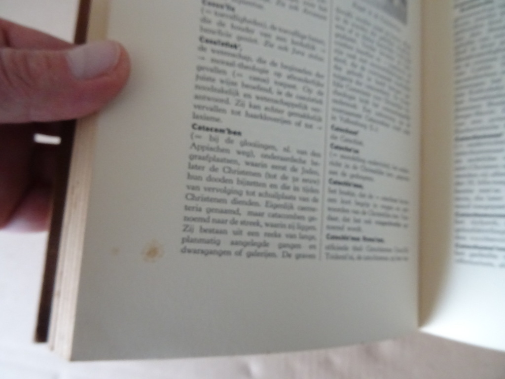 Encyclopædisch Kerkelijk woordenboek - Afbeelding 8