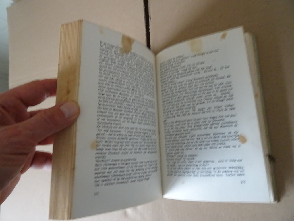 Peter Martin Deusel De biecht van een beul - Afbeelding 10