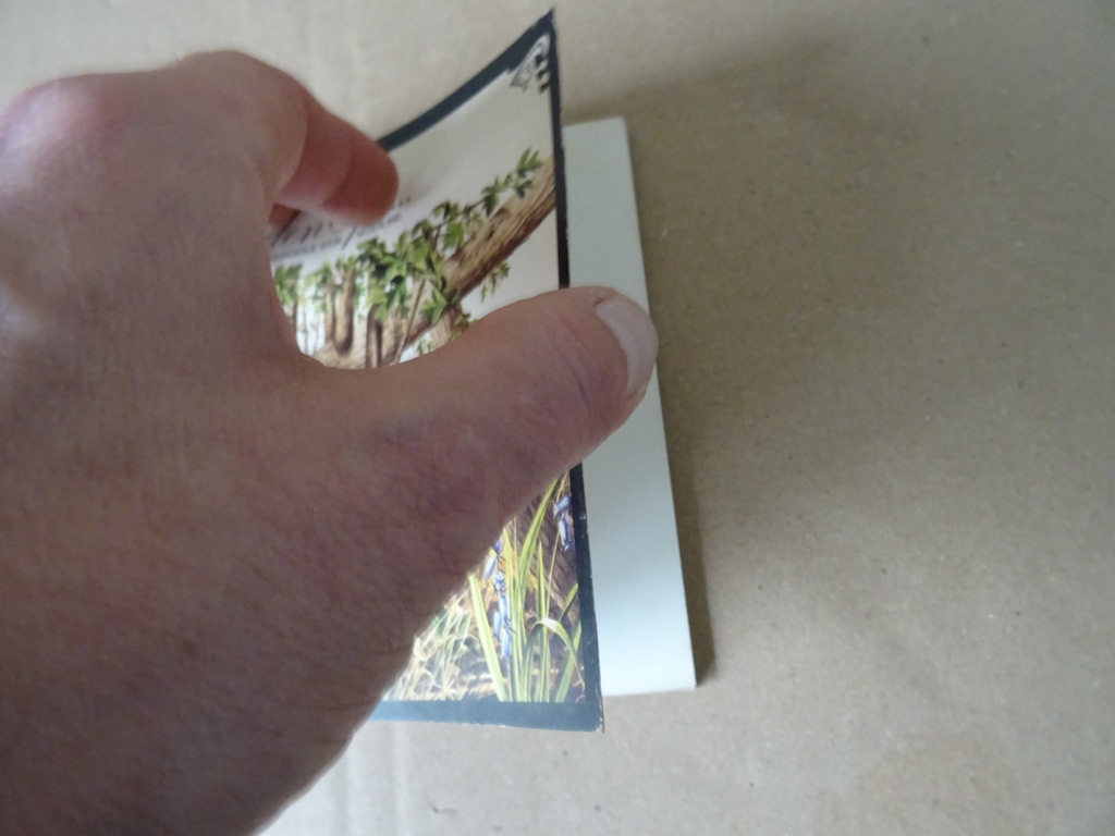 Reader's digest De paden op Het beste vestzak natuurgidsje - Afbeelding 2