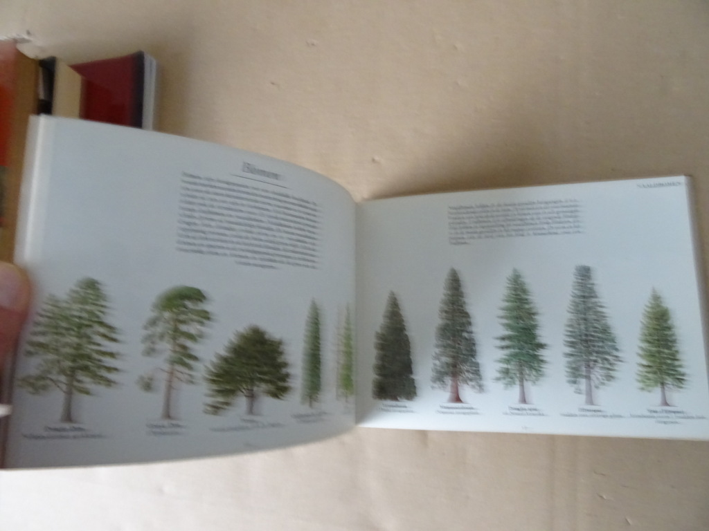 Reader's digest De paden op Het beste vestzak natuurgidsje - Afbeelding 7