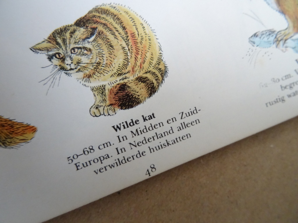 Reader's digest De paden op Het beste vestzak natuurgidsje - Afbeelding 8