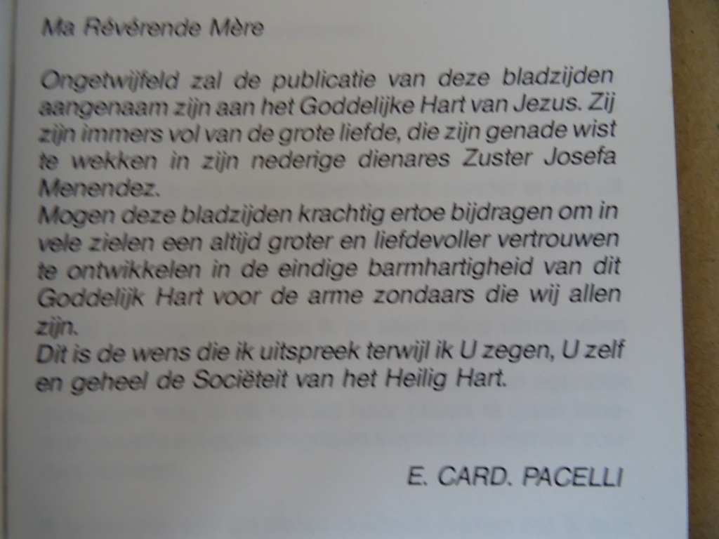 Zuster Josefa Menendez Het lijden van onzen Heer - Afbeelding 29