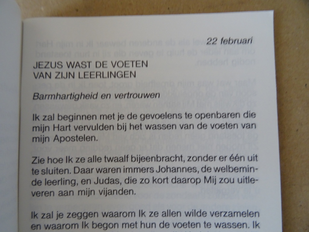 Zuster Josefa Menendez Het lijden van onzen Heer - Afbeelding 30
