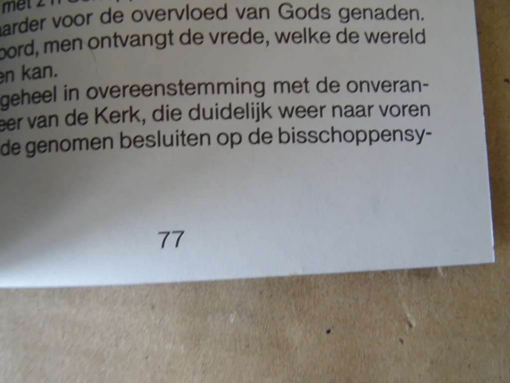 Zuster Josefa Menendez Het lijden van onzen Heer - Afbeelding 32