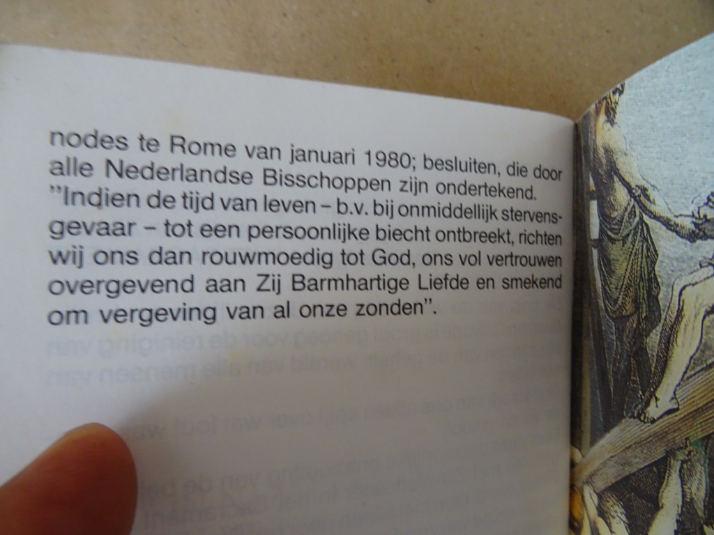 Zuster Josefa Menendez Het lijden van onzen Heer - Afbeelding 33