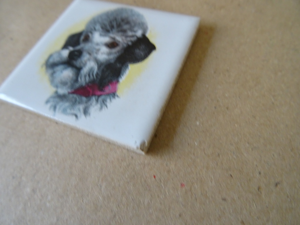 Collectie 8 vintage tegels Mosa paard poes hond 19 euro per stuk - Afbeelding 39