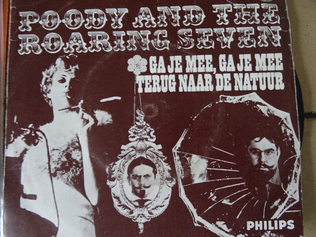 Collectie van 23 vintage singles Nederlandstalig - Afbeelding 7