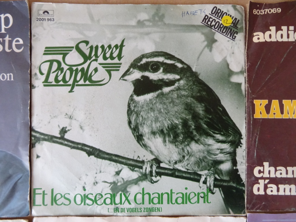 Collectie van 23 vintage singles Nederlandstalig - Afbeelding 21
