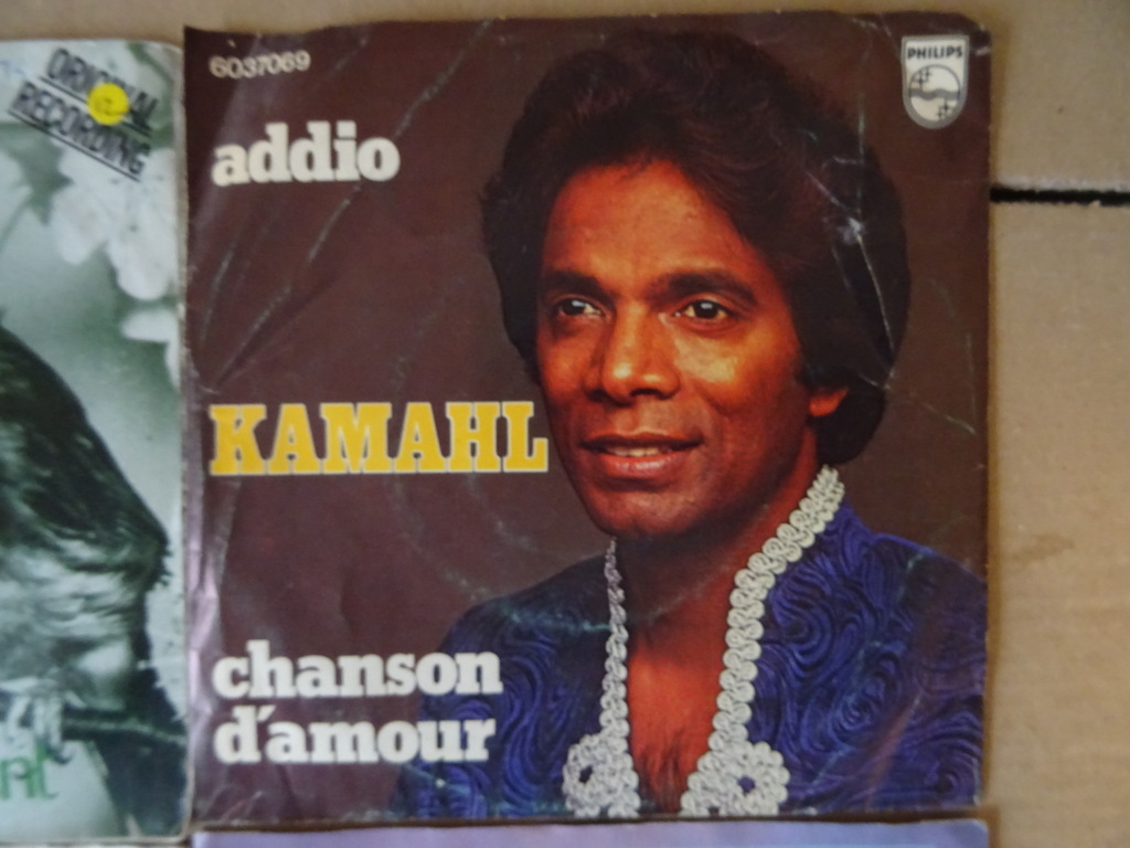 Collectie van 23 vintage singles Nederlandstalig - Afbeelding 22