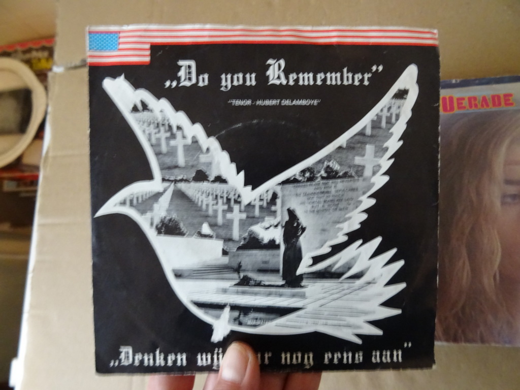 Collectie van 16 vintage singles Engelstalig - Afbeelding 7