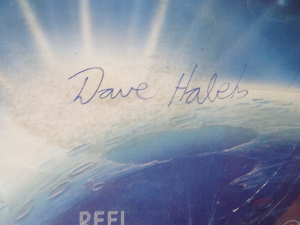 Collectie van 16 vintage singles Engelstalig - Afbeelding 11