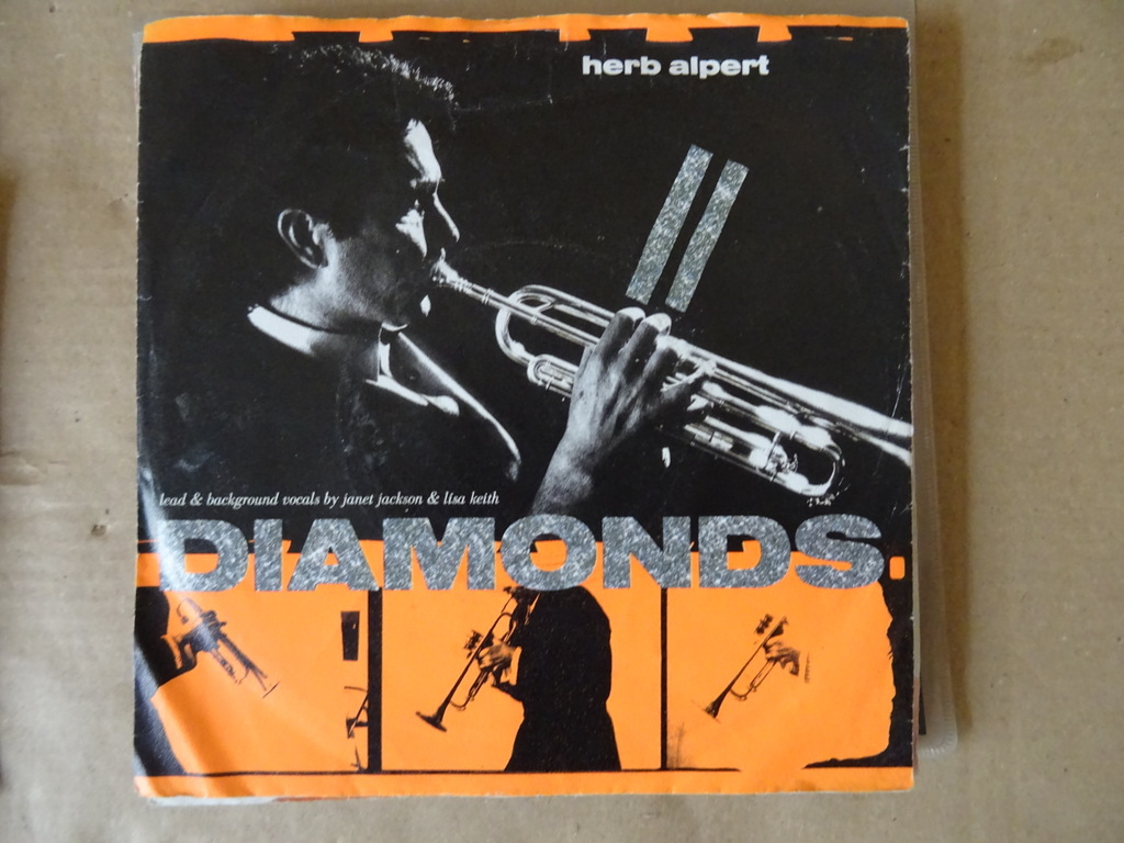 Collectie van 16 vintage singles Engelstalig - Afbeelding 13