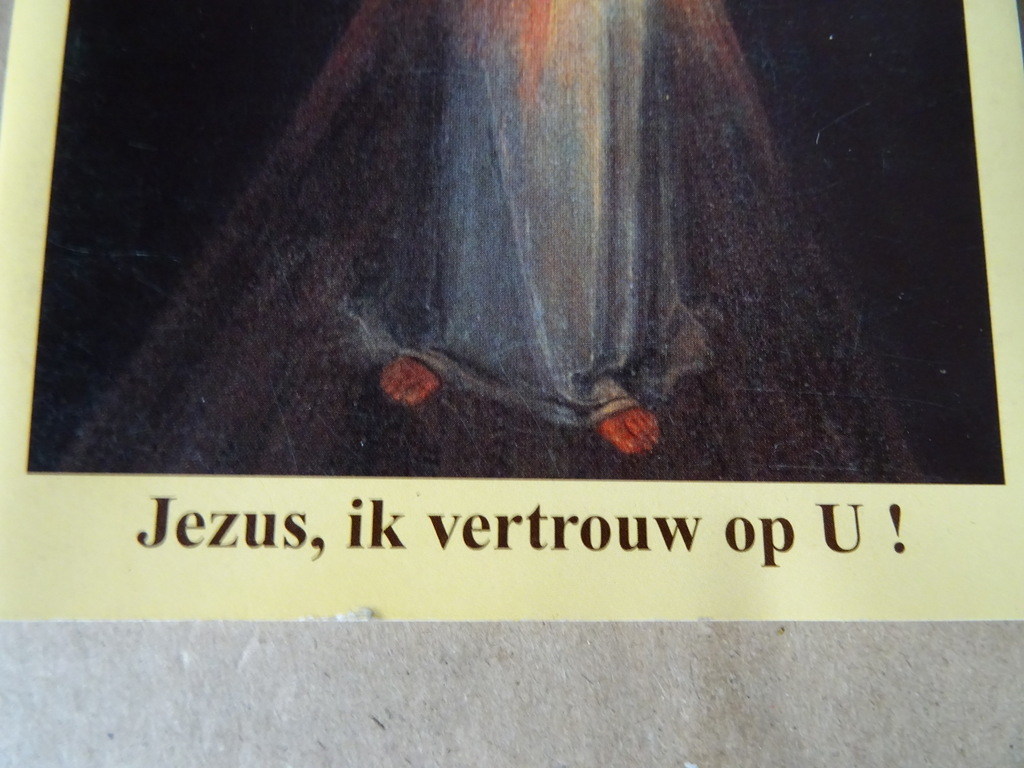 Zuster Faustina Jezus ik vertrouw op u! - Afbeelding 2